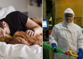 Няколко примера когато най-простата работа е била добре заплатена…