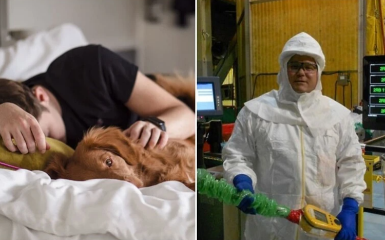 Няколко примера когато най-простата работа е била добре заплатена…