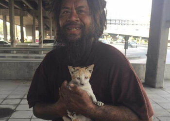 Бездомникът храни всеки ден бездомните котки винаги преди себе си