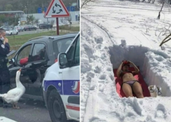 Селекция мистериозни снимки от поредицата „Какво става тук?“