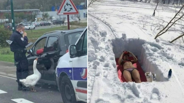 Селекция мистериозни снимки от поредицата „Какво става тук?“