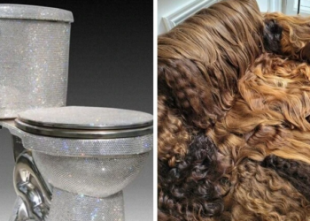 Няколко неща, чиито създатели не са мислили, че някой ще трябва да ги почисти…