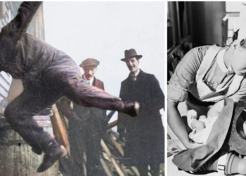 7 редки снимки, които показват живота от различен ъгъл