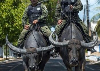 Снимки, доказващи, че бразилците са необикновени!