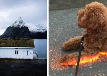 Удивителни снимки без Фотошоп, които трябва да погледнеш поне 2 пъти