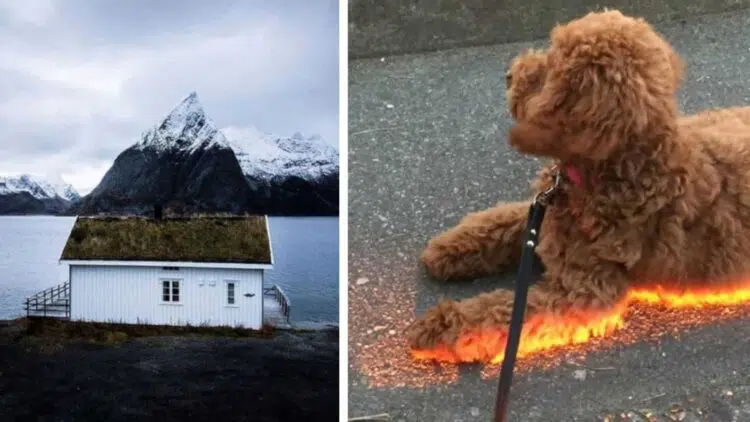 Удивителни снимки без Фотошоп, които трябва да погледнеш поне 2 пъти