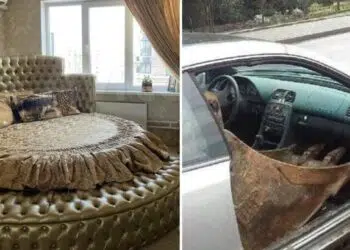 Твърде много въпроси и толкова малко [адекватни] отговори