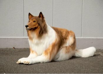 Японец харчи 15 791 долара, за да изглежда като куче