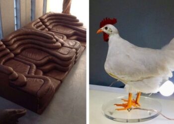 Примери, които доказват, че някои дизайнери живеят на ръба на лудостта