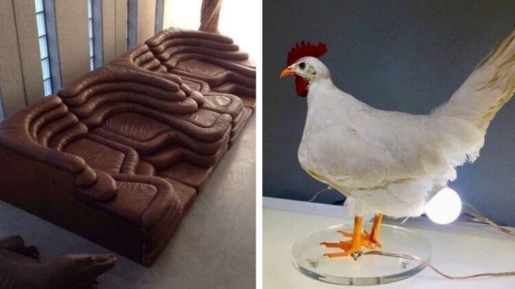 Примери, които доказват, че някои дизайнери живеят на ръба на лудостта