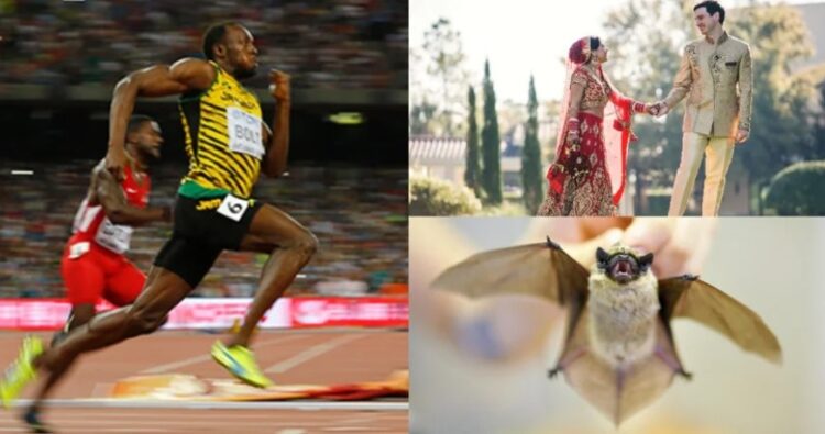 Практически безполезна, но любопитна световна статистика