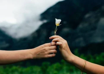 Каква е вероятността двама разведени да се оженят повторно?