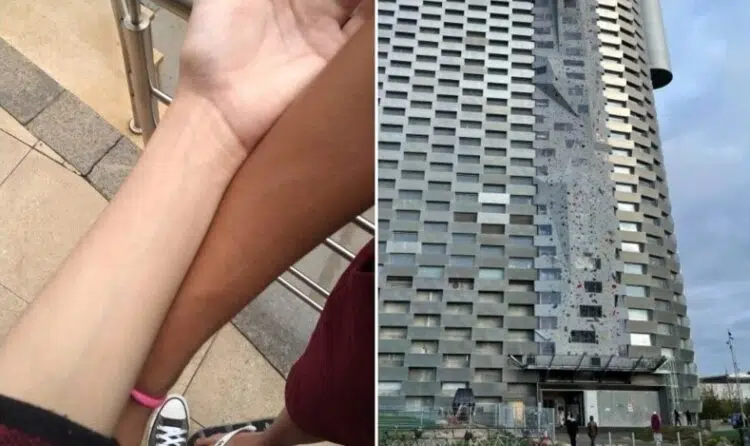 10 + любопитни снимки, които бяха споделени онлайн