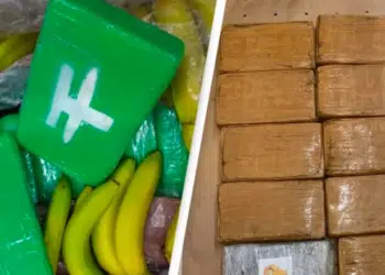 Кокаин на стойност 80 млн евро доставен по погрешка в супермаркет…