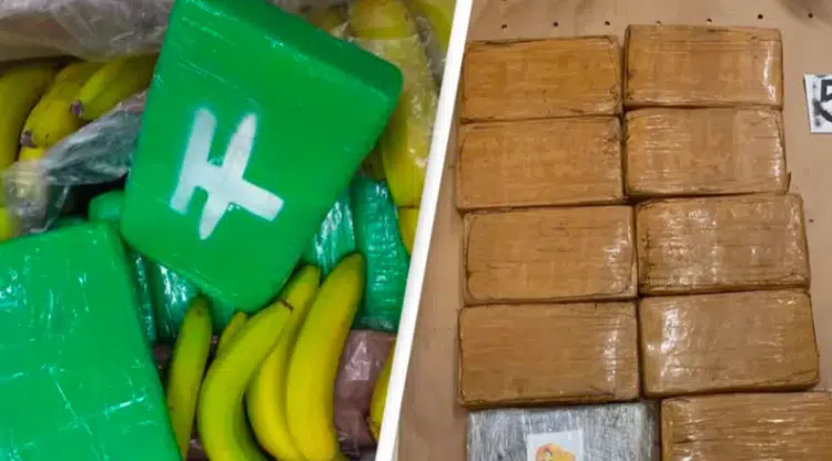 Кокаин на стойност 80 млн евро доставен по погрешка в супермаркет…