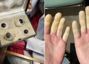 10+ любопитни кадъра и находки на потребителите в Интернет