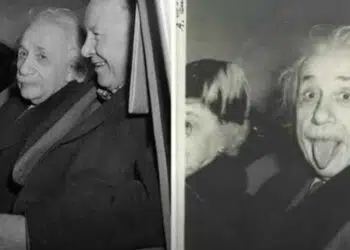 16 доказателства, че светът изглежда напълно различен от другата страна