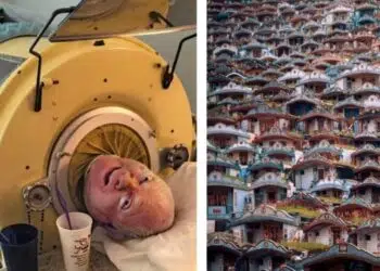 Интересни факти, които със сигурност не знаеш и ще те впечатлят!