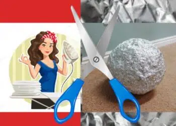 Фолио в домакинството – полезни съвети как да го използваме и за какво