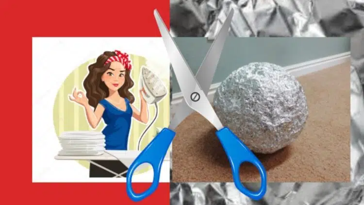 Фолио в домакинството – полезни съвети как да го използваме и за какво