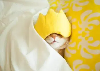 Да подремнеш е добра идея, стига да го правиш правилно