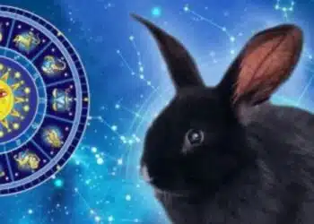 Някои имат късмет: 3 знака от зодиака, за които 2023 обещава да бъде изключително успешна