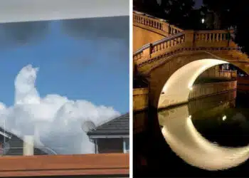 15 снимки, които са толкова перфектни, че изглеждат като Photoshop