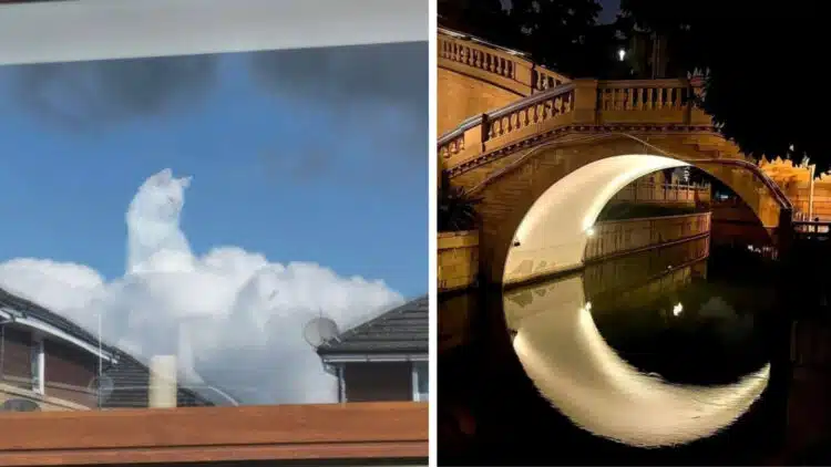 15 снимки, които са толкова перфектни, че изглеждат като Photoshop