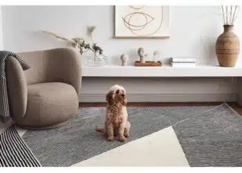 Какво трябва да премахнете от дома си, за да изглежда голям, спретнат и красив?