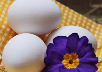 Да се мие или да не се мие? Обратно към кокошите яйца