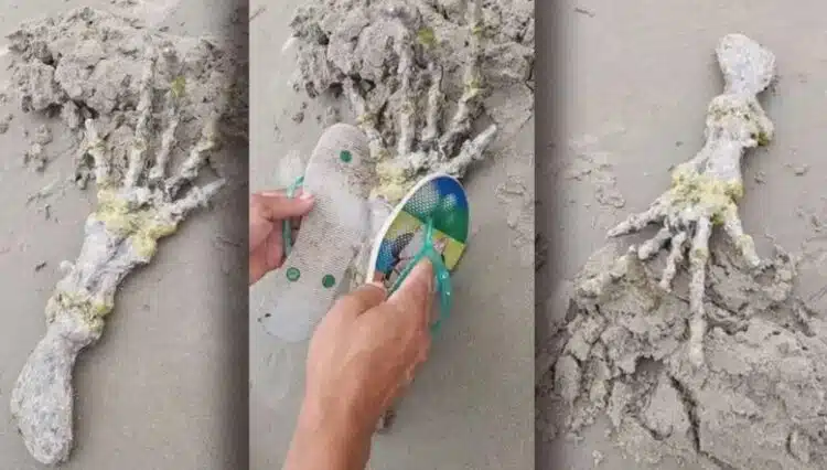 Кости от „извънземна“ ръка открити в Бразилия