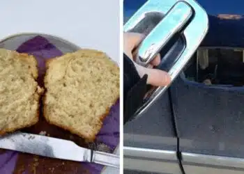 Когато се чудиш какво още може да се обърка за един ден – отговорите тук