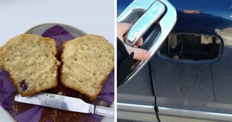 Когато се чудиш какво още може да се обърка за един ден – отговорите тук