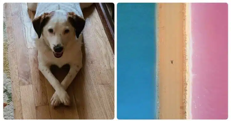 „Не мога да повярвам, че улових този миг“ или какво хората заснеха и споделиха