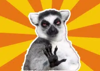 3-те зодии с най-здрави нерви