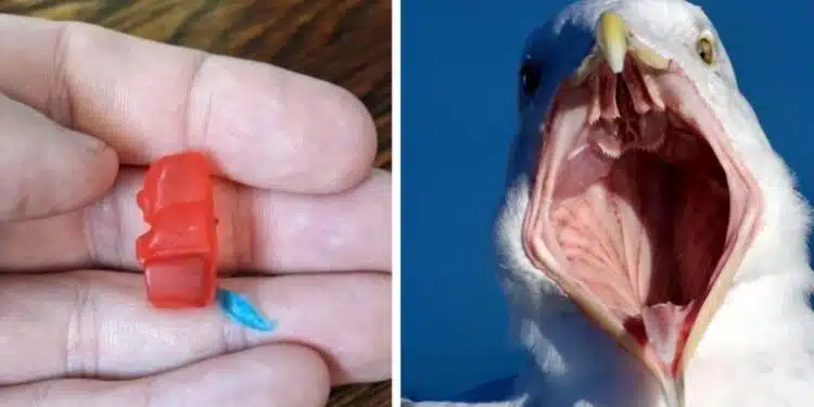 Свят на ежедневни открития и безгранични фантазии