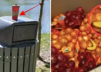 13 души, които живеят в общество, а не в обор, но се държат безобразно