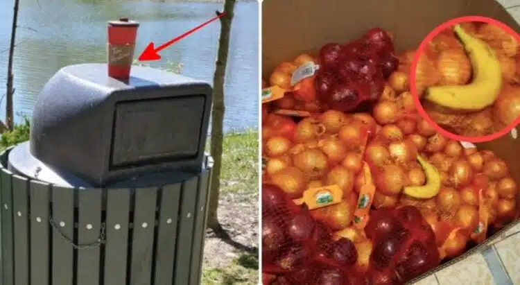 13 души, които живеят в общество, а не в обор, но се държат безобразно