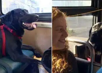 Тя е независима! Сама си хваща рейса – отива в парка, разхожда се и се прибира!