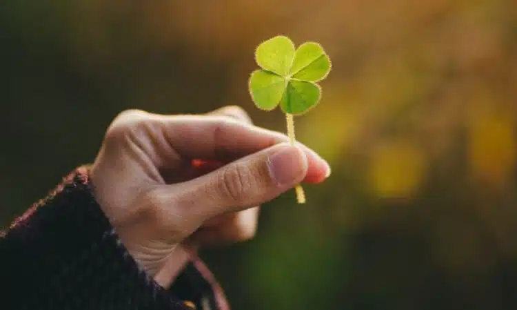 Четири знака на хороскопа очакват невиждан късмет преди края на годината