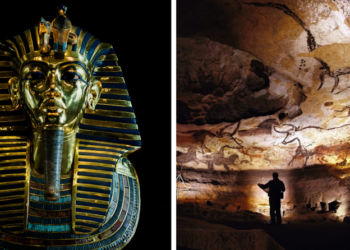 Невероятни открития, направени от обикновени хора (и един язовец)