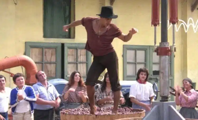 Защо гроздето за портвайн все още се мачка с крака?