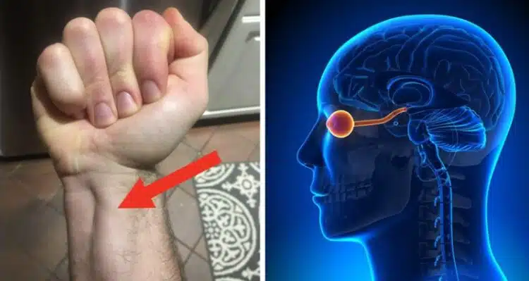 8 диви и странни, но безумно интересни факта за човешкото тяло