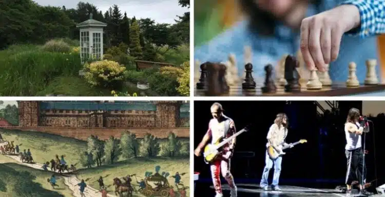 Увлекателни факти от поредицата „Днес научих“…