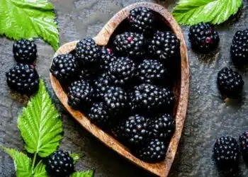 Какви ползи имаме за нашето здраве от капините според експертите