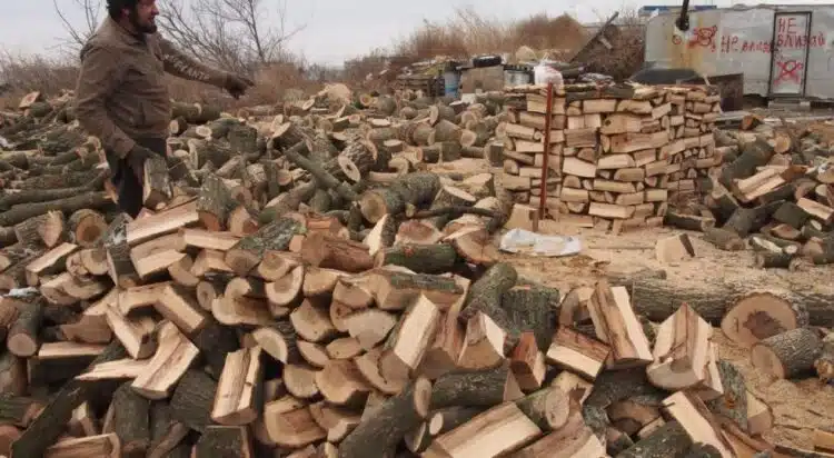 Спрямо по-студените месеци дървата за огрев в момента са с 30% по-евтини