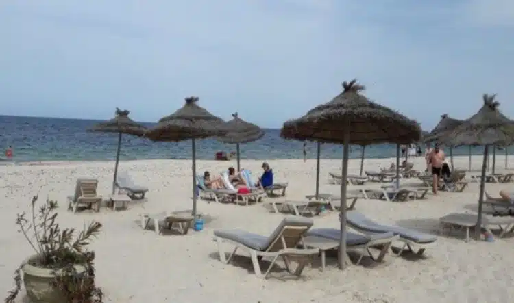 Фалити на родното Черноморие