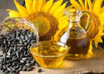 Истината за слънчогледовото олио