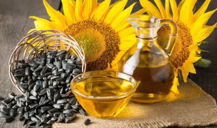 Истината за слънчогледовото олио