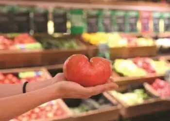 Как климатичните промени се отразяват на вкусния розов домат?